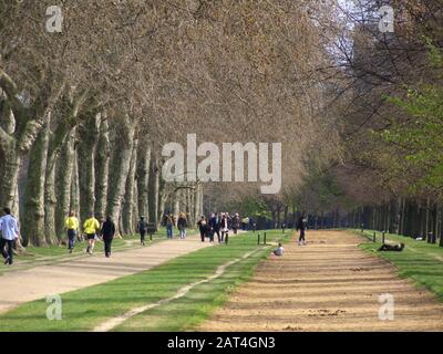 Reitbahn, auf der Major James Hewitt HRH Princess Diana bei der Pferdefahrt unterrichtete, Hyde Park, London, England 2009. Hewitt hatte eine Liebesbeziehung mit HR Stockfoto