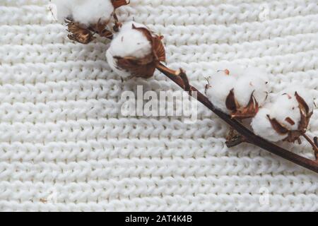 Baumwollblume mit Strickmütze und Schal, flach auf Marmorgrund, Winterstil Stockfoto