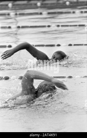 Jugend Interland Schwimmen Den Hommel Datum: 19. August 1967 Schlüsselwörter: Jugend, Schwimmen Stockfoto