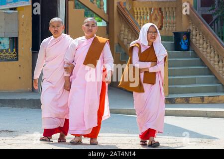 Junge novizin Nonnen an Aung Oo Myae monastischen Kostenlose Bildung Schule, Sagaing, Mandalay, Myanmar (Birma), Asien im Februar Stockfoto