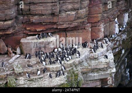 Rund um Großbritannien - Schottland Stockfoto