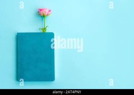 Draufsicht auf blaues Farbbuch mit leerem Deckel und Rosenblümchen innen auf hellblauem Grund. Mockup mit Copyspace Stockfoto