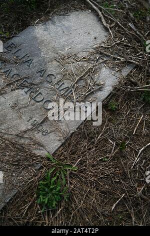 Jüdischer Friedhof im Cimitero Maggiore, Musocco Viertel, Mailand, Italien, Europa Stockfoto