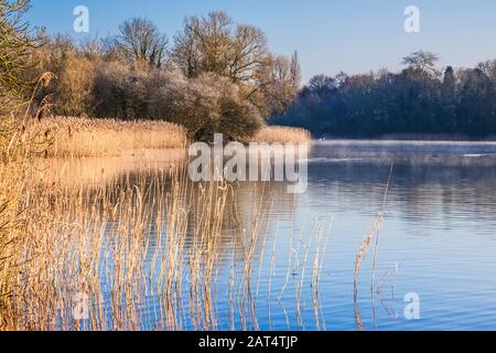 Ein kalter, winterlicher Sonnenaufgang über Coate Water in Swindon. Stockfoto