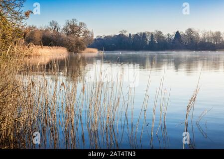 Ein kalter, winterlicher Sonnenaufgang über Coate Water in Swindon. Stockfoto