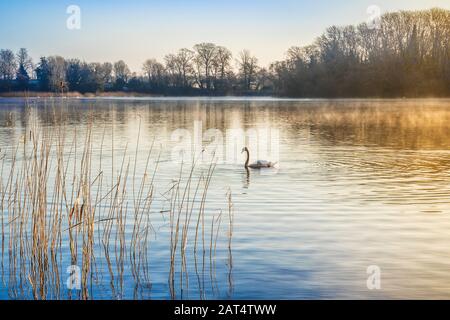 Ein kalter, frühmorgendlicher Morgen im Winter in Coate Water in Swindon. Stockfoto