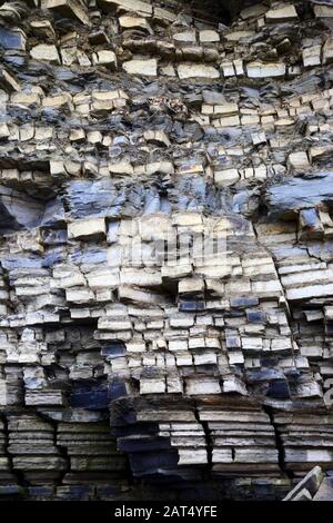 Blue Lias Kalksteine und Schieferfelsen in Klippen am Lavernock Point, South Glamorgan, Wales, Großbritannien Stockfoto