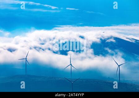 Windmühlen für die Stromproduktion in den Bergen Kroatiens. Stockfoto