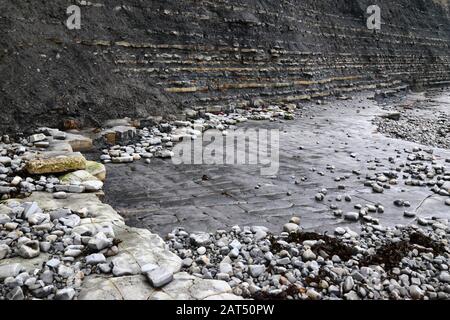 Untere Schichten aus Lias Kalksteinen und Schiefergestein und Kalksteinpflaster auf Vorland am Lavernock Point, South Glamorgan, Wales, Großbritannien Stockfoto