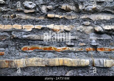 Lower Lias Limestone and Shale Rock Strata in Cliffs at Lavernock Point, South Glamorgan, Wales, Großbritannien Stockfoto