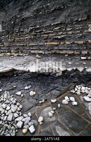 Untere Schichten aus Lias Kalksteinen und Schiefergestein und Kalksteinpflaster auf Vorland am Lavernock Point, South Glamorgan, Wales, Großbritannien Stockfoto