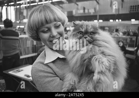 Kat-Expo in Ahoy in Rotterdam; eines der teilnehmenden Katzen Datum: 17. Dezember 1977 Standort: Rotterdam, Süd-Holland Schlüsselwörter: Cats Institution Name: Ahoy Stockfoto