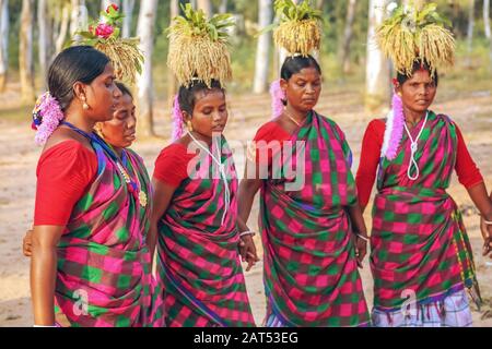 Indianische Stammesfrauen führen in einem Waldgebiet in Bolpur Shantiniketan, Westbengalen, Volkstanz auf Stockfoto