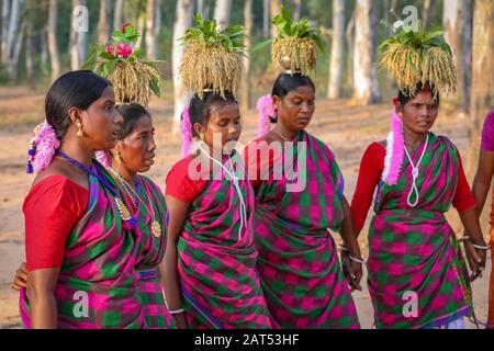 Indianische Stammesfrauen führen in einem Waldgebiet in Bolpur Shantiniketan, Westbengalen, Volkstanz auf Stockfoto