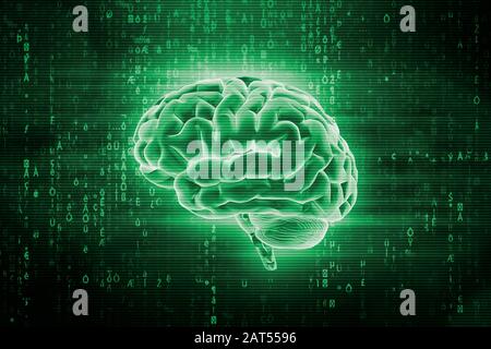 Menschliches Gehirn und Computer oder IT-Code. Künstliche Intelligenz oder AI 3D-Darstellung. Stockfoto