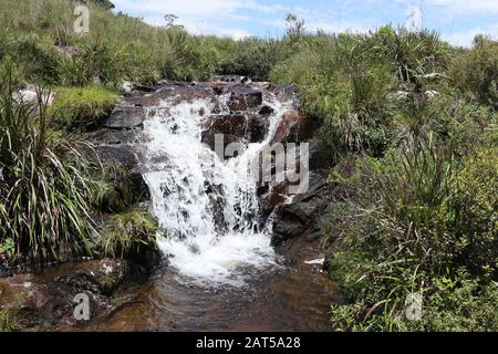 Die kleinen Wasserfälle bildeten sich auf den Feldern. Unberührte Schönheit. Stockfoto