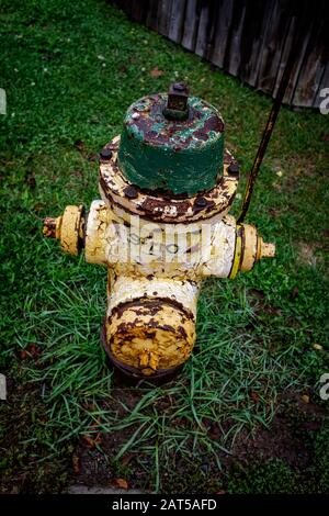 Ein verrosteter gelber und grüner Brandhydrant in der Nähe eines Zauns mit grünem Gras im Hintergrund Stockfoto