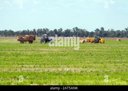 Einen landwirtschaftlichen Traktor Lader lasten Heuballen in einen Traktor Anhänger auf dem Feld Stockfoto