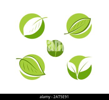 Natürliches Produktlogo. Abbildung des Lamellensymbols oder Etikettenvektors Stock Vektor