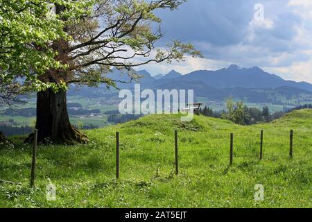 Idyllischer Blick auf die bayerischen Alpen im Allgäuer Feriengebiet Stockfoto