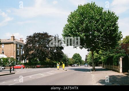 Bäume und Häuser in der Wickham Road in Brockley, South East London, Großbritannien Stockfoto