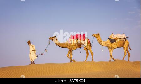 Ein alter Mann mit seinem Kamele, Wüste Thar, Rajasthan, Indien Stockfoto