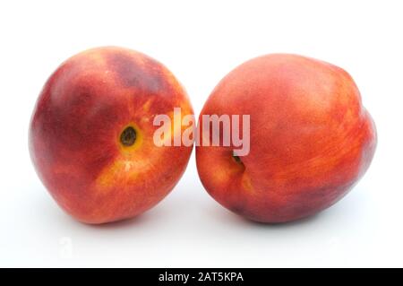 Nektarinen auf weißem Hintergrund Stockfoto
