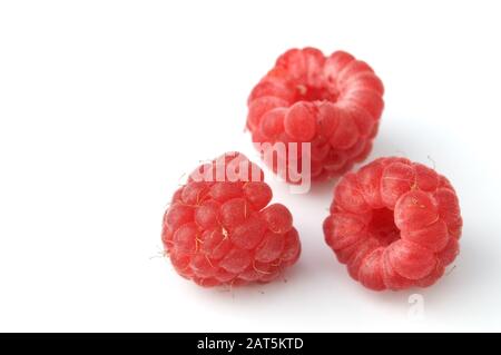 Rote reife Himbeeren isoliert auf Weiß Stockfoto