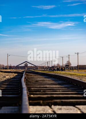 Ein Bild der Bahngleise in Auschwitz II - Birkenau. Stockfoto