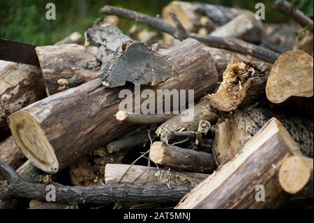 Ein Haufen zerbrochenes und gesägtes Brennholz im Dorf. Selektiver Fokus Stockfoto