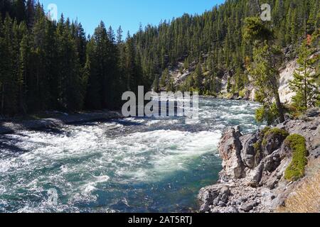 Der Yellowstone River reist schnell direkt, bevor er den Gipfel der Lower Falls erreicht. Stockfoto