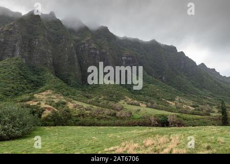 Kaaawa, Oahu, Hawaii, USA. - 11. Januar 2020: Grüne, bewaldete Flanken bis zu braunen bis schwarzen hohen Felsklippen an der Seite der grünen Wiese im Kualoa-Tal unde Stockfoto