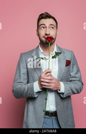 Verträumter Mann im Anzug mit roter Rosenblüte, isoliert auf Rosa Stockfoto