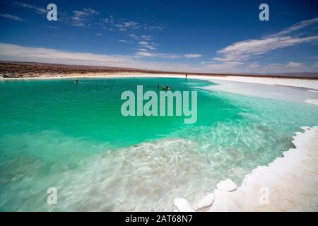 Touristen, die das salzige Wasser der Lagunas Escondidas de Baltinachi, Atacama-Wüste, Antofagasta, Chile, genießen Stockfoto