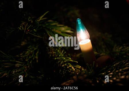 Eine Glühlampe auf einem Weihnachtsbaum Stockfoto