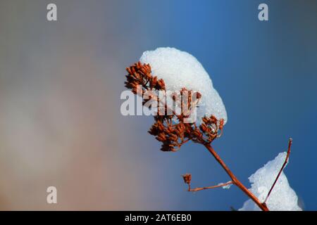 Schneeszene im East Chezzetcook Nova Scotia. Stockfoto