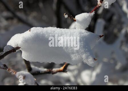 Schneeszene im East Chezzetcook Nova Scotia. Stockfoto