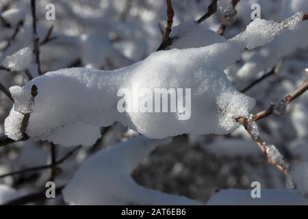 Schneeszene im East Chezzetcook Nova Scotia. Stockfoto