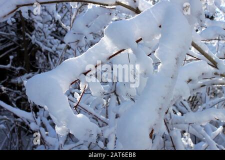 Schneeszene im East Chezzetcook Nova Scotia. Stockfoto