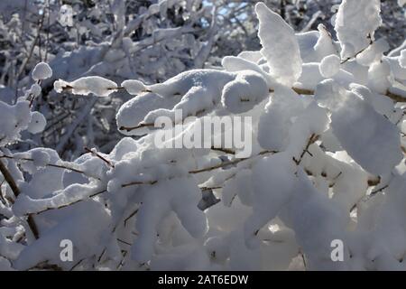 Schneeszene im East Chezzetcook Nova Scotia. Stockfoto