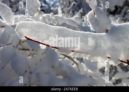 Schneeszene im East Chezzetcook Nova Scotia. Stockfoto