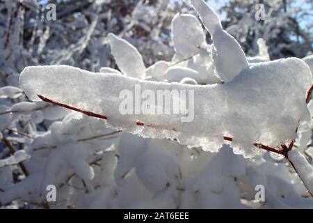 Schneeszene im East Chezzetcook Nova Scotia. Stockfoto