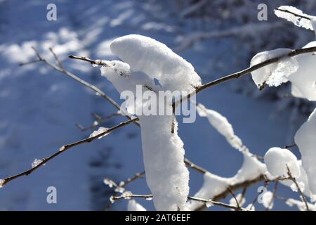 Schneeszene im East Chezzetcook Nova Scotia. Stockfoto