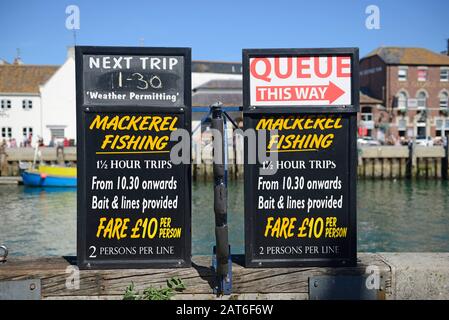 Schilder, auf denen Makrelen-Angelbootfahrten am Hafen in Weymouth, Dorset, Großbritannien an einem sonnigen Tag angezeigt werden Stockfoto