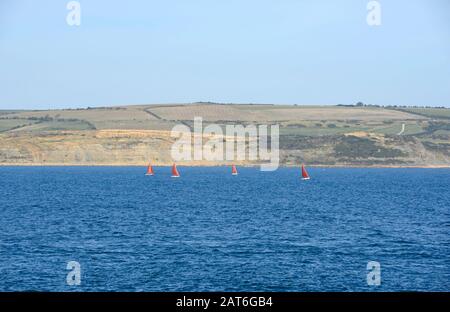 Vier kleine, rot gesegelte Segelyachten in Weymouth, Dorset, UK Stockfoto