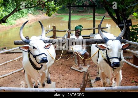 Skulpturen des Menschen, die Sperrkäfige zur Bewässerung im Janapada Loka Folk Art Museum in der Nähe von Ramanagara, Karnataka, Indien, Asien verwenden Stockfoto