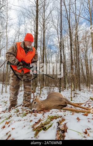 Hirschjäger nähert sich seinem geernteten Bock im Norden Wisconsins. Stockfoto