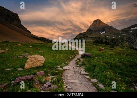 Der Weg Führt Am späten Nachmittag durch den Logan Pass Stockfoto