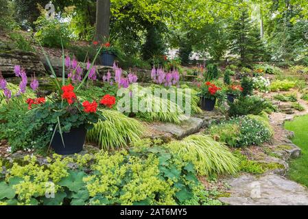 Gelbe Alchemilla mollis - Lady's mantle, rot Pelargonium - Geranien in schwarzen Pflanzgefäßen, Hakonechlo Macra Aureola - Gras, rosa Astilbe Blüten Stockfoto