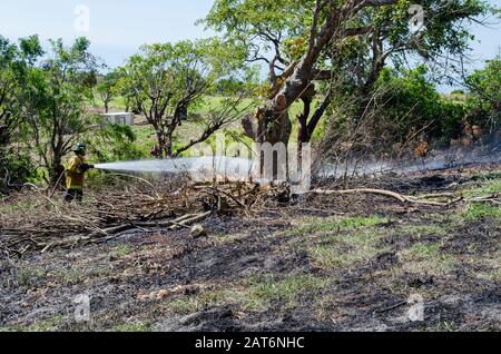 Feuerwerkskühlung Beleuchtet Holz Stockfoto